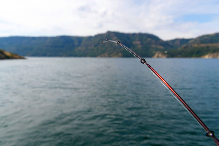 Fishing Lake Roosevelt