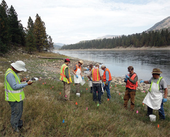 Residential and upland soil sampling