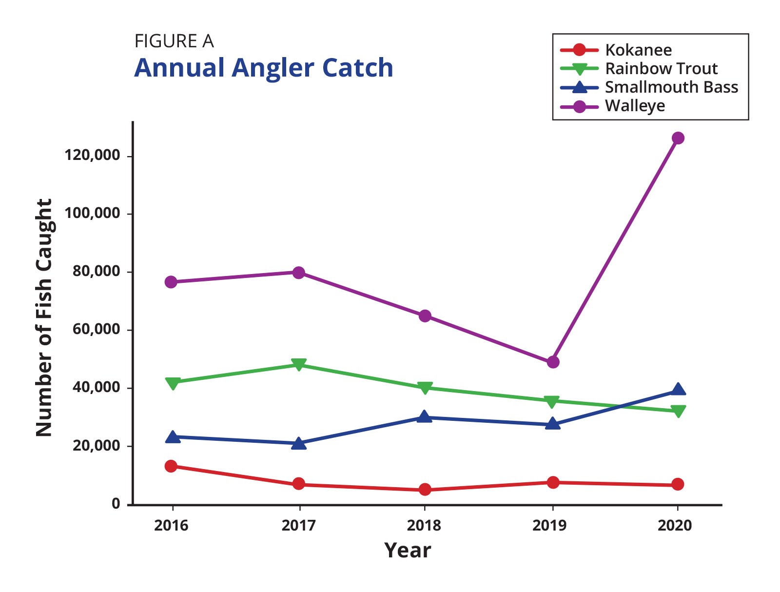 Annual Angler Catch Graph 2016-2020