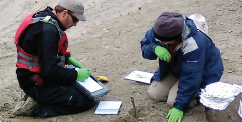 beach sampling