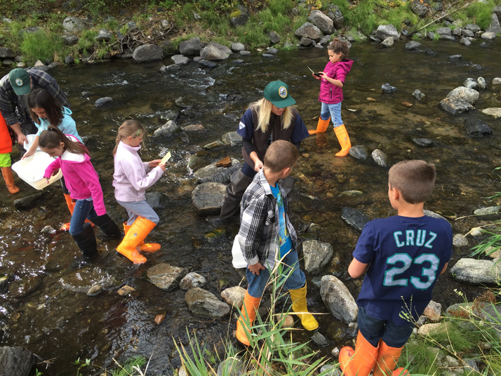 Lake Roosevelt Water Festival