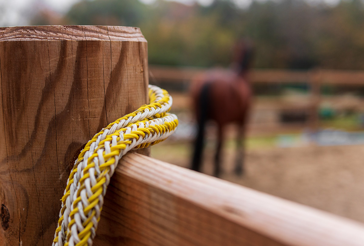 Horseback Riding