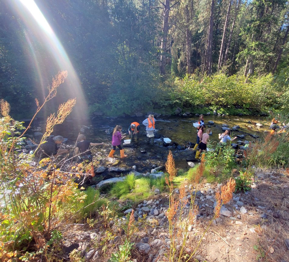 LRF Kids in the Creek