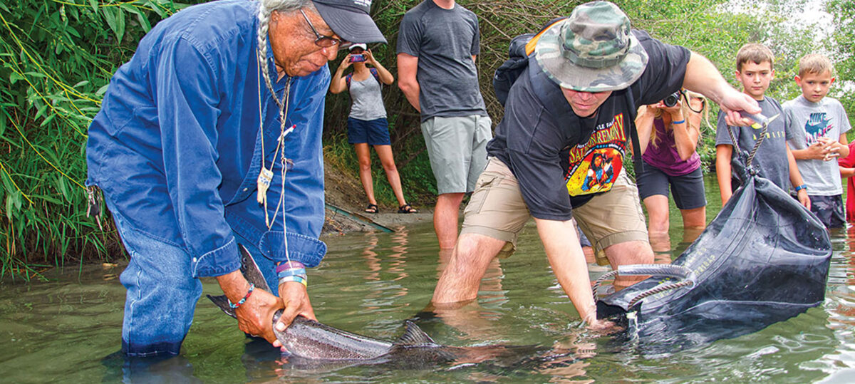 Upper Columbia Salmon Reintroduction