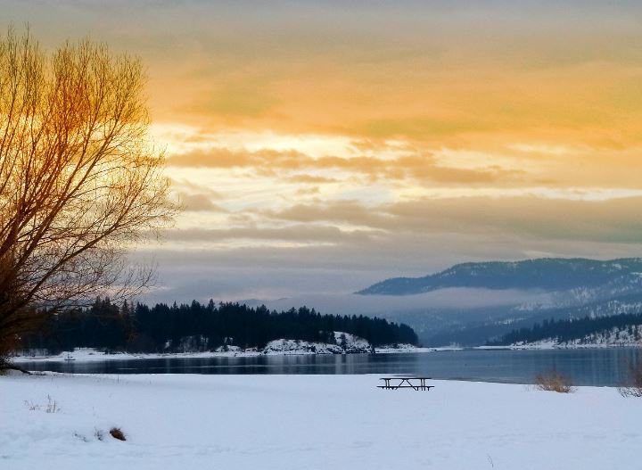 Lake in the Winter